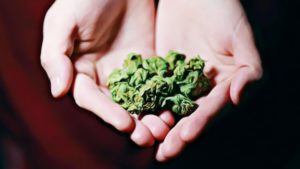 is marijuana a depressant